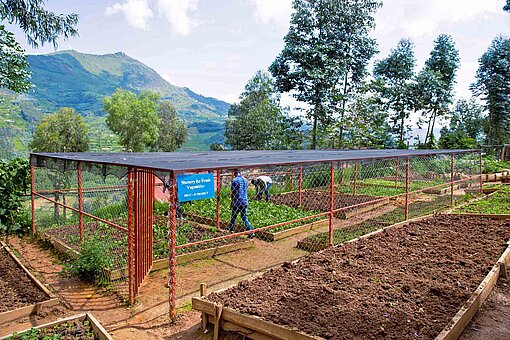 Ein Nutzgarten in Ruanda